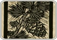 Description: Macintosh HD:Users:zoyascholis:Desktop:imagesJuly-DEc2013:pineconeblockprint.jpg